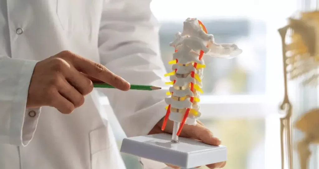 Aposentadoria por Espondiloartrose Anquilosante