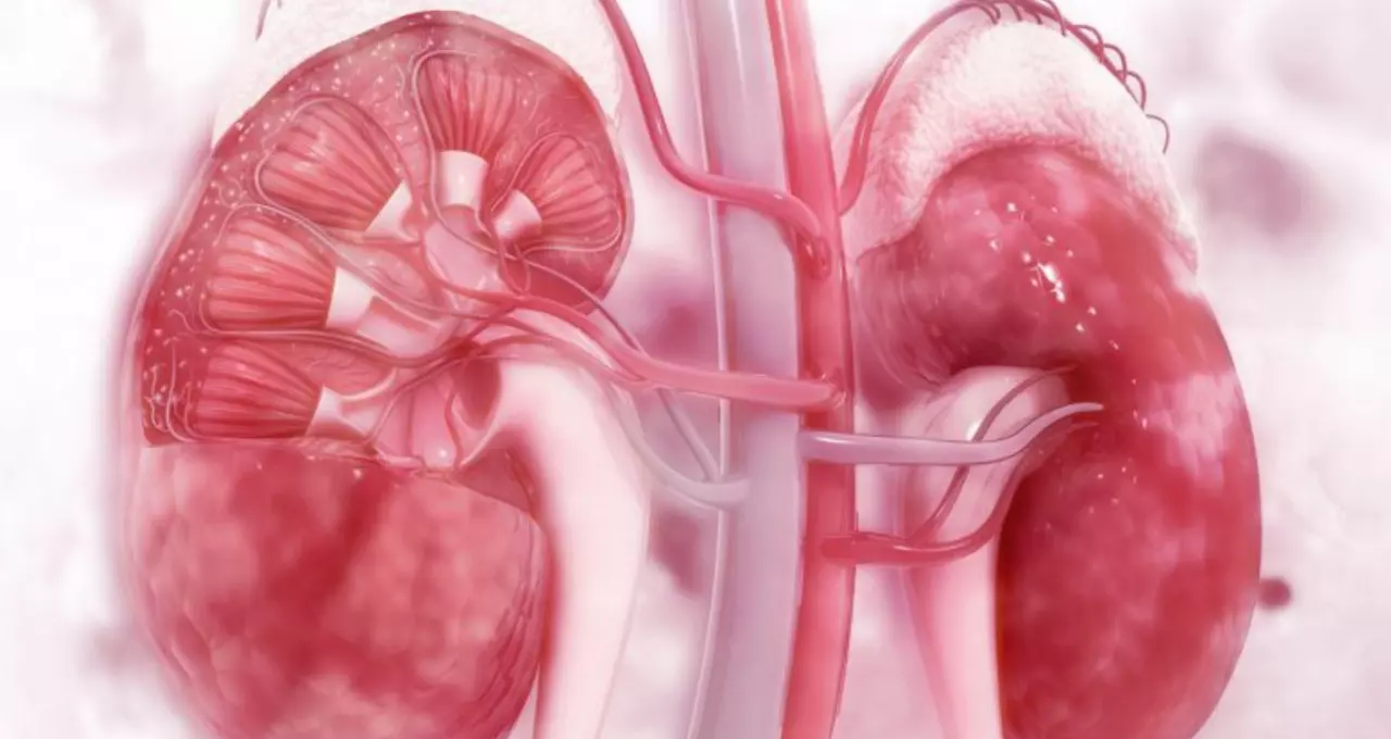 Aposentadoria por Nefropatia Grave